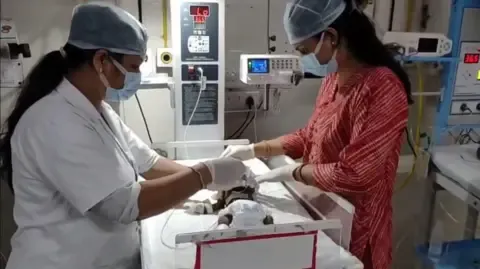 Infant Interred Alive in India Battles for Existence